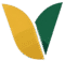 Vedgex digital logo